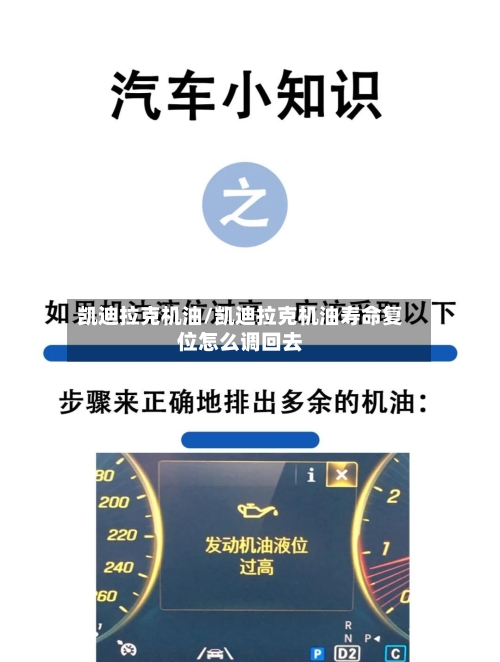 凯迪拉克机油/凯迪拉克机油寿命复位怎么调回去-第1张图片