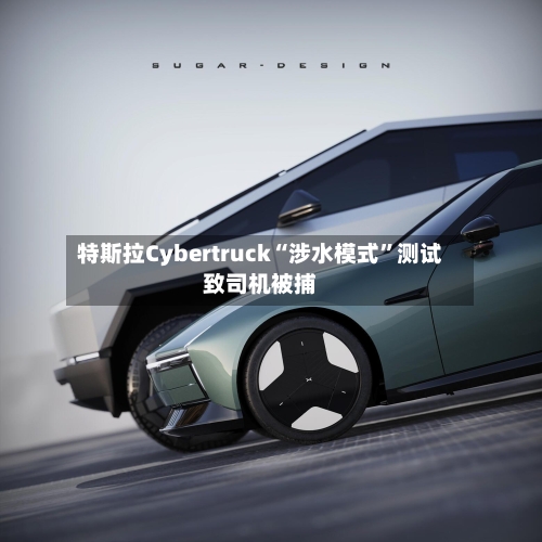 特斯拉Cybertruck“涉水模式	”测试致司机被捕-第1张图片