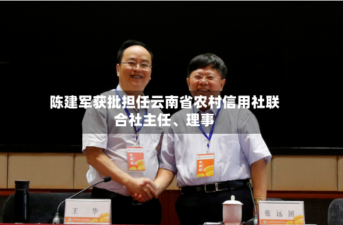 陈建军获批担任云南省农村信用社联合社主任、理事-第1张图片