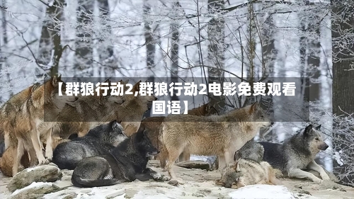 【群狼行动2,群狼行动2电影免费观看国语】-第2张图片
