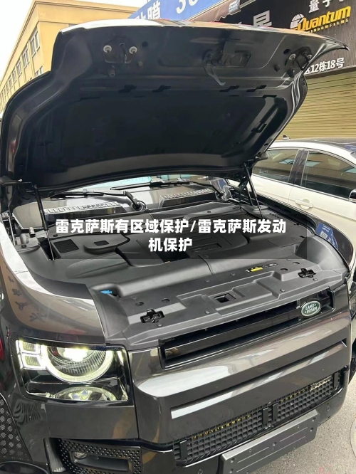 雷克萨斯有区域保护/雷克萨斯发动机保护-第3张图片