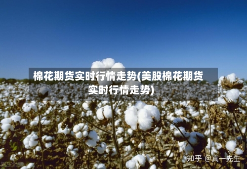 棉花期货实时行情走势(美股棉花期货实时行情走势)-第2张图片