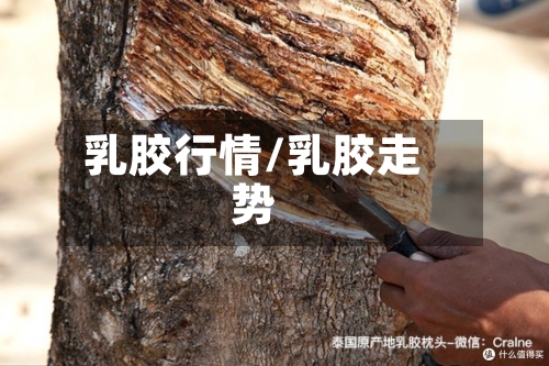 乳胶行情/乳胶走势-第1张图片