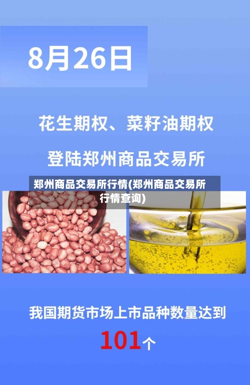 郑州商品交易所行情(郑州商品交易所行情查询)-第1张图片