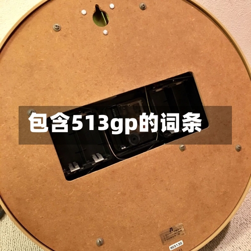 包含513gp的词条-第1张图片