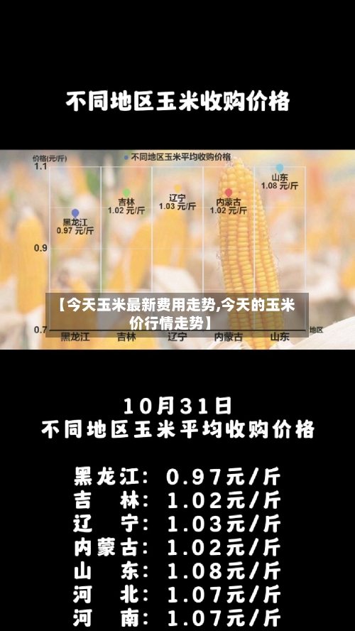 【今天玉米最新费用走势,今天的玉米价行情走势】-第1张图片