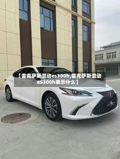 【雷克萨斯混动es300h,雷克萨斯混动eS300h表示什么】-第2张图片
