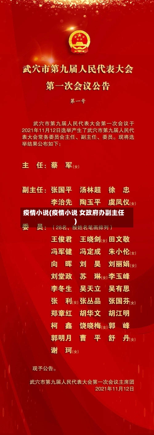疫情小说(疫情小说 女政府办副主任)-第1张图片