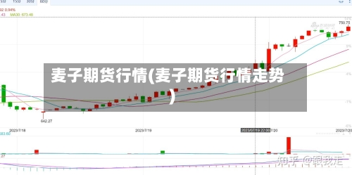 麦子期货行情(麦子期货行情走势)-第2张图片