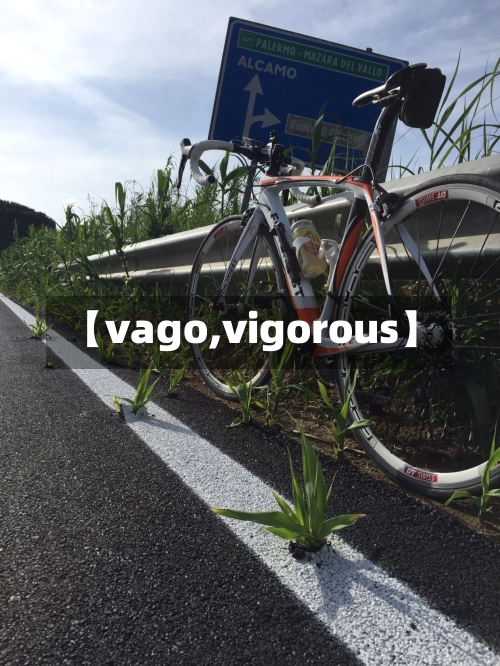【vago,vigorous】-第2张图片